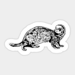 Black and white drawing - ferret Sticker